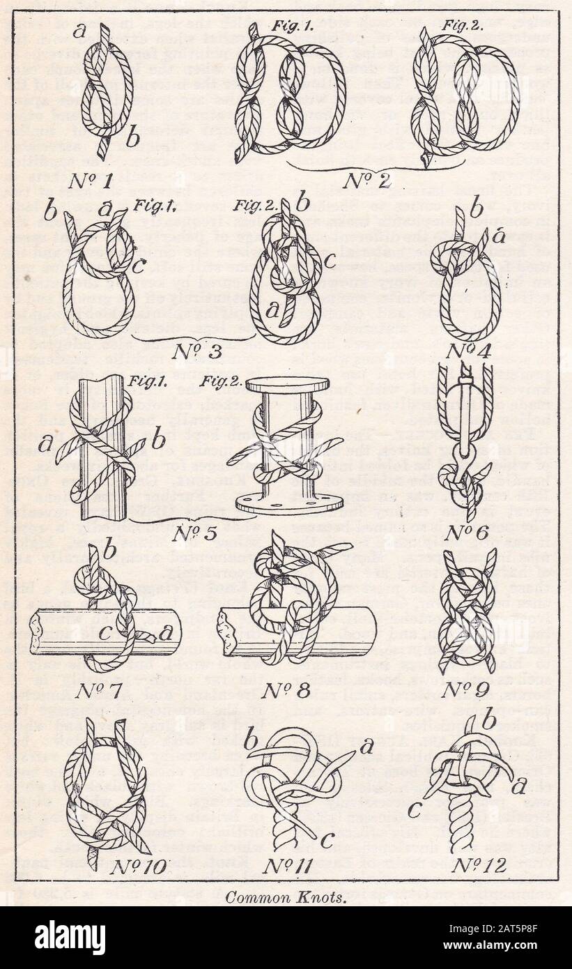 Vintage illustrations of Common Knots Stock Photo - Alamy