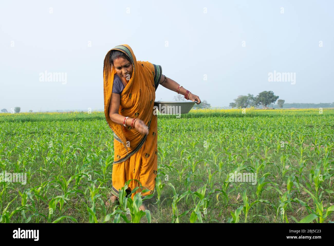 Indian Woman Farmer Working In Agricultural Field Stock Photo   Alamy