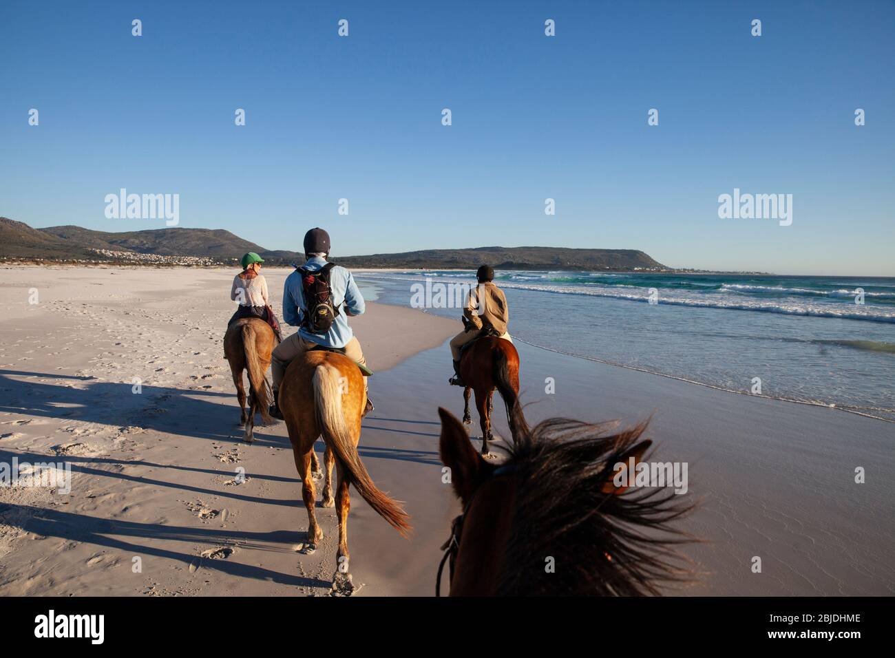 Horse riding on long beach, Cape Town, South Africa Stock Photo Alamy