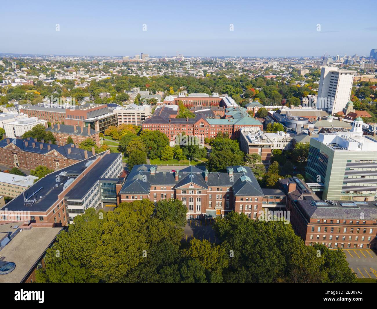 Harvard Law School And Harvard Museum Of Natural History Aerial View In Harvard University 