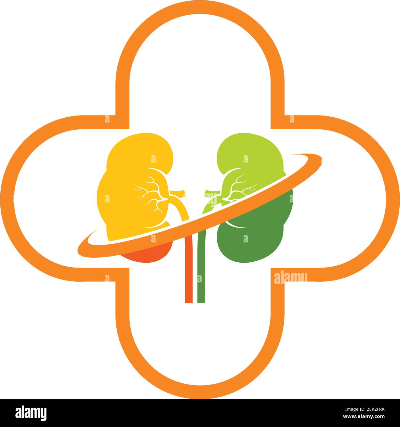 kidney icon vector illustration design template Stock Vector Image ...