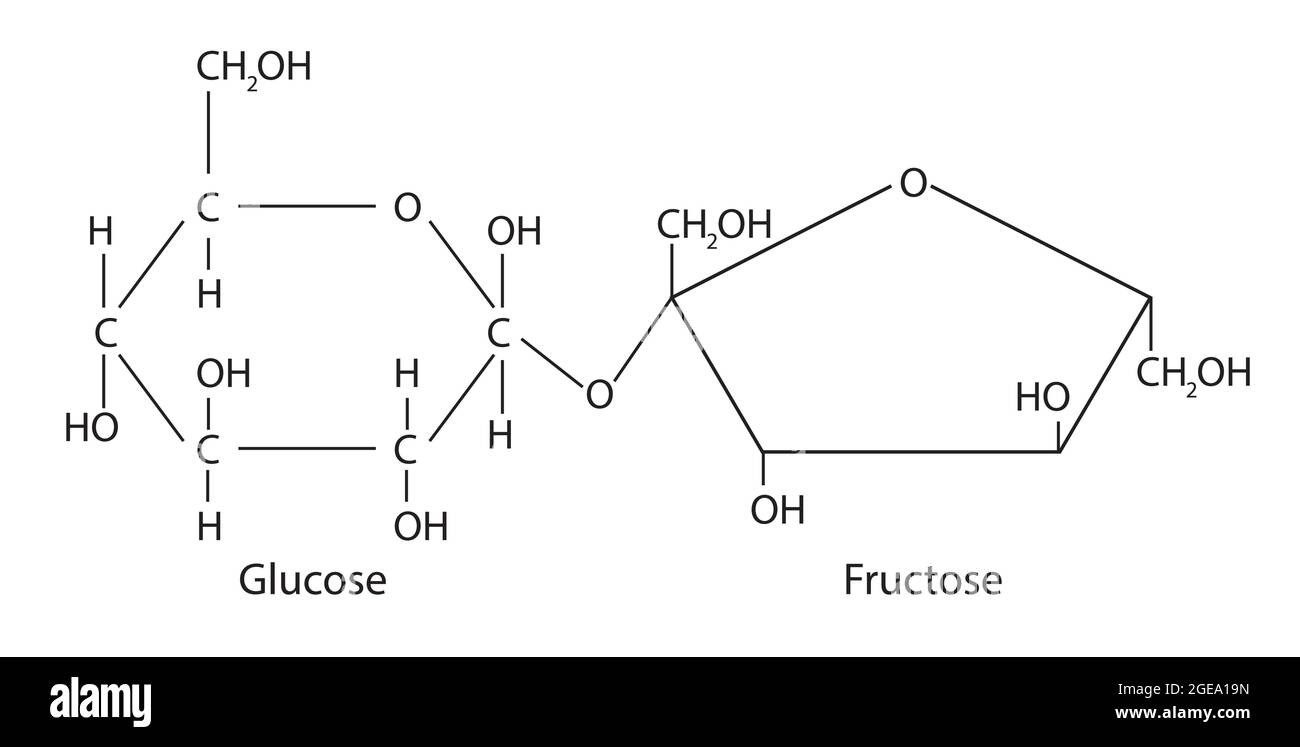 Chemical Structure of Sucrose, Anatomy Of Sucrose , Molecular structure