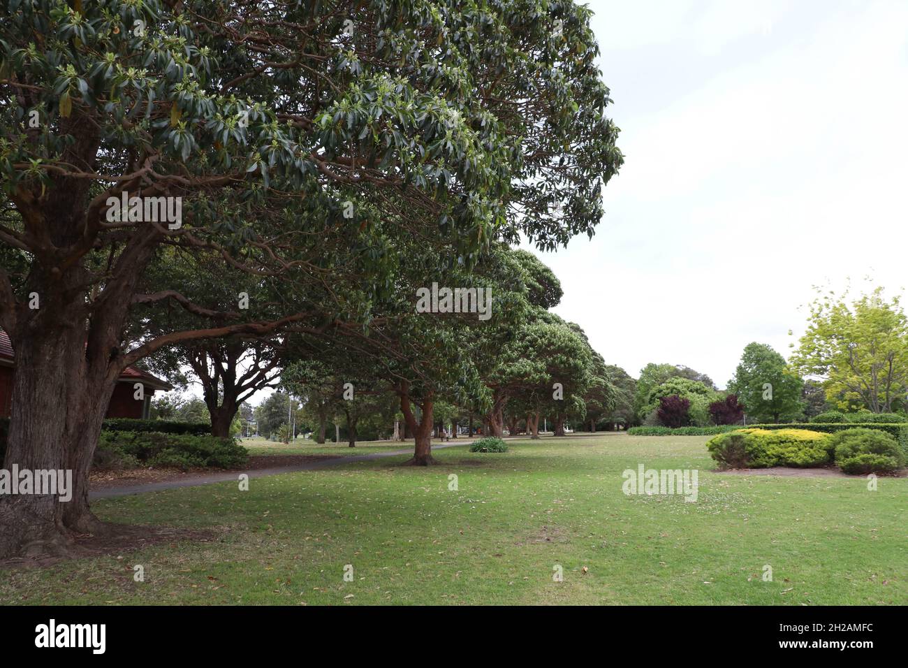 Five Dock Park Five Dock Sydney Nsw Australia Stock Photo Alamy