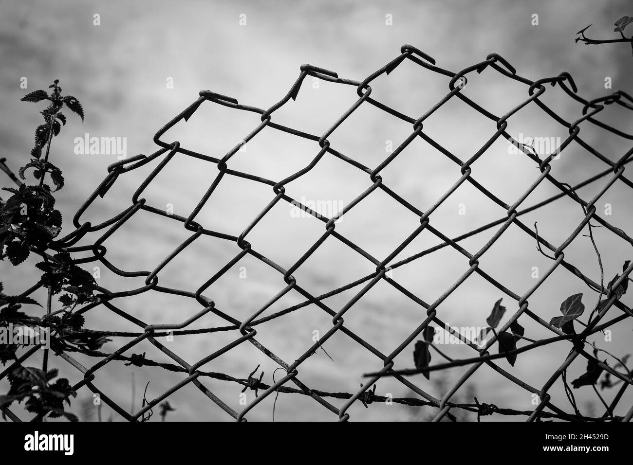 Barbed wire chain link metal fence Stock Photo Alamy