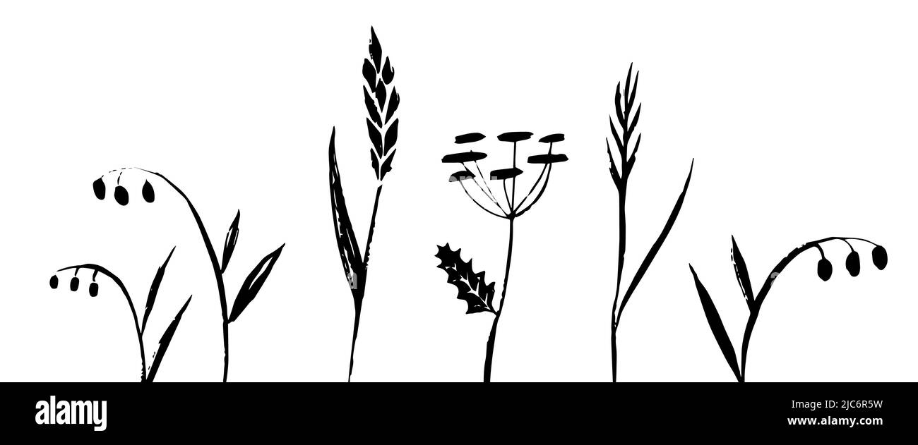 Wild grass hand drawn collection. Vector illustration Stock Vector ...