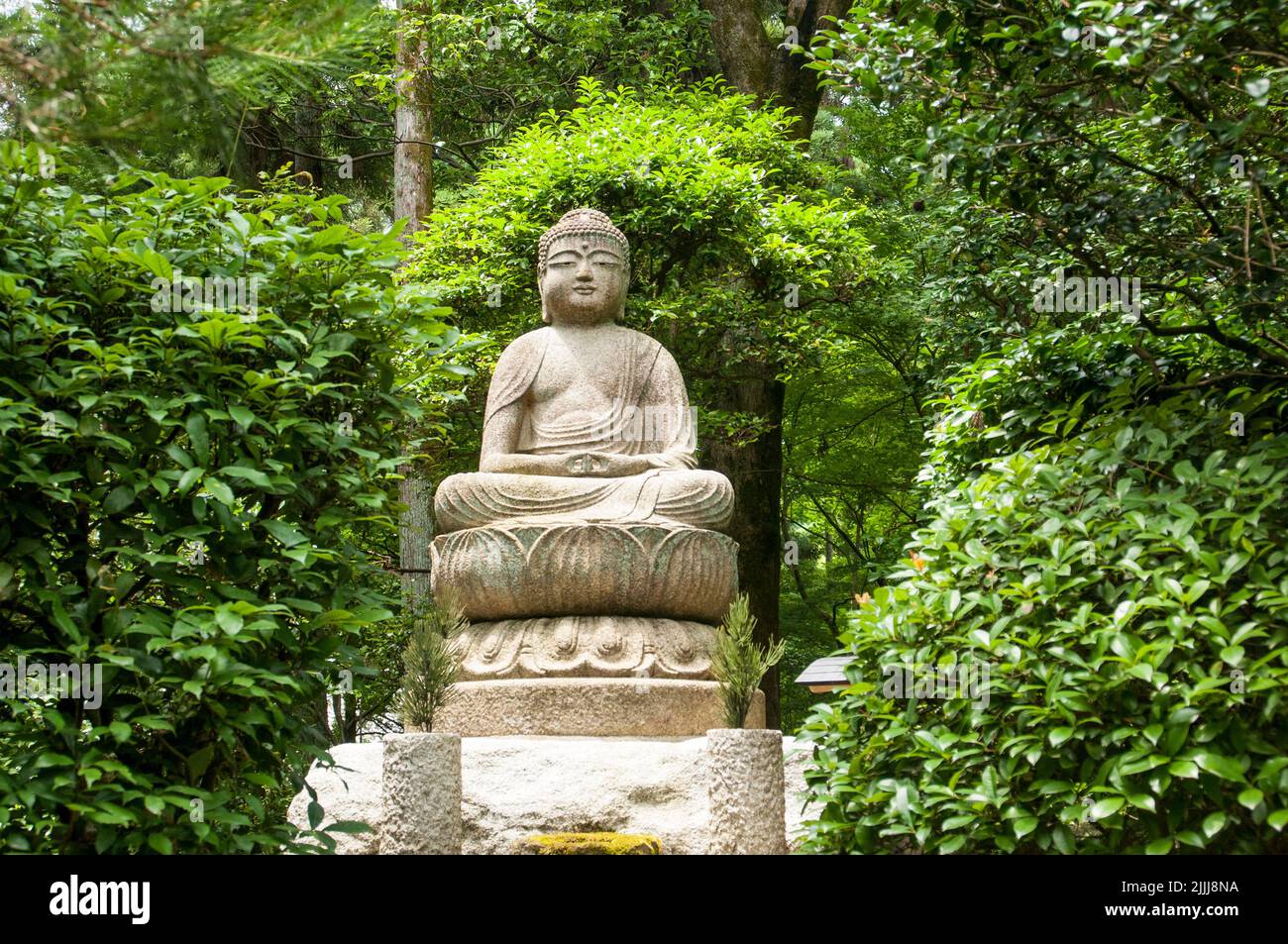 Statue of the Buddha, Kyoto Stock Photo - Alamy