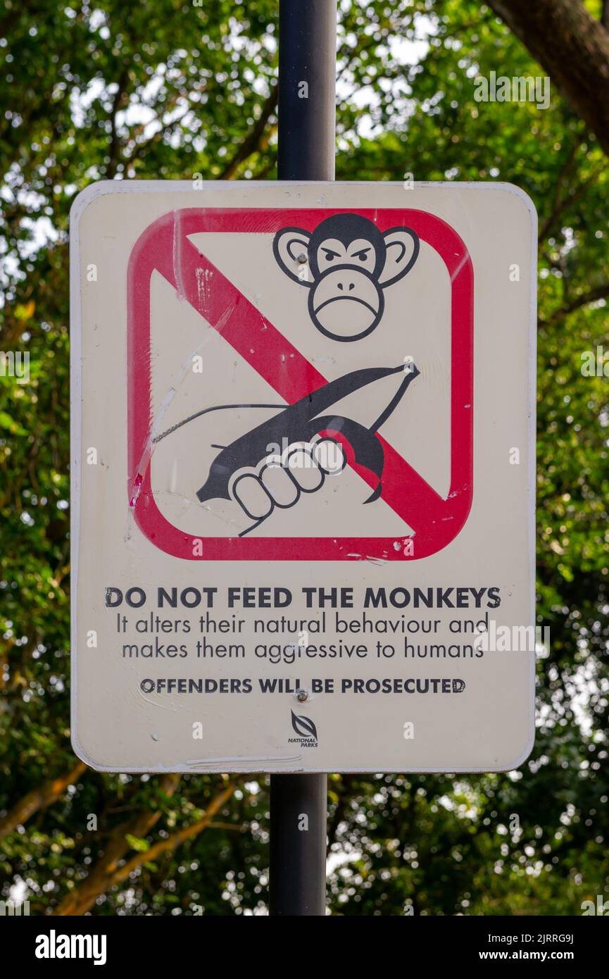 Do not feed the monkeys sign at Labrador, Singapore Stock Photo Alamy