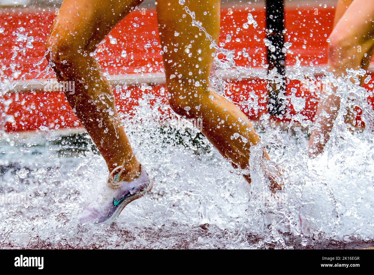 Abstract Track and Field - Steeple Chase Stock Photo - Alamy