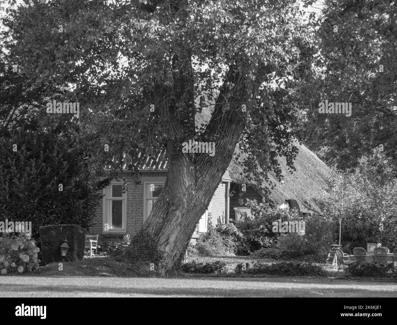 Giethoorn in the netherlands Stock Photo - Alamy