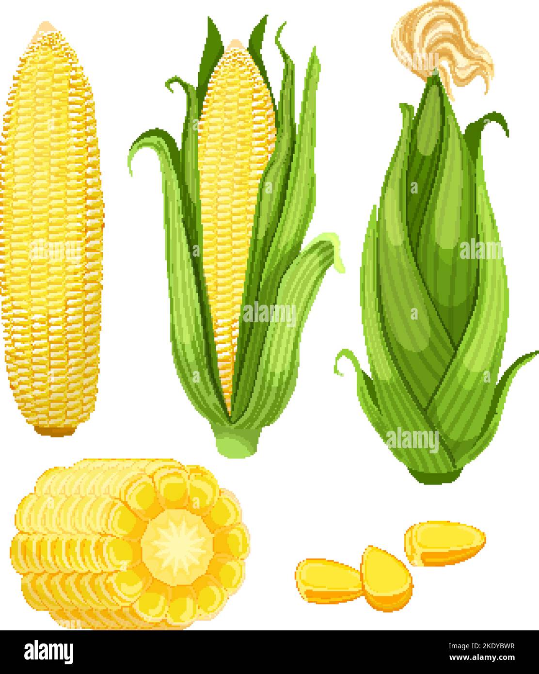 corn maize set cartoon vector illustration Stock Vector Image & Art - Alamy