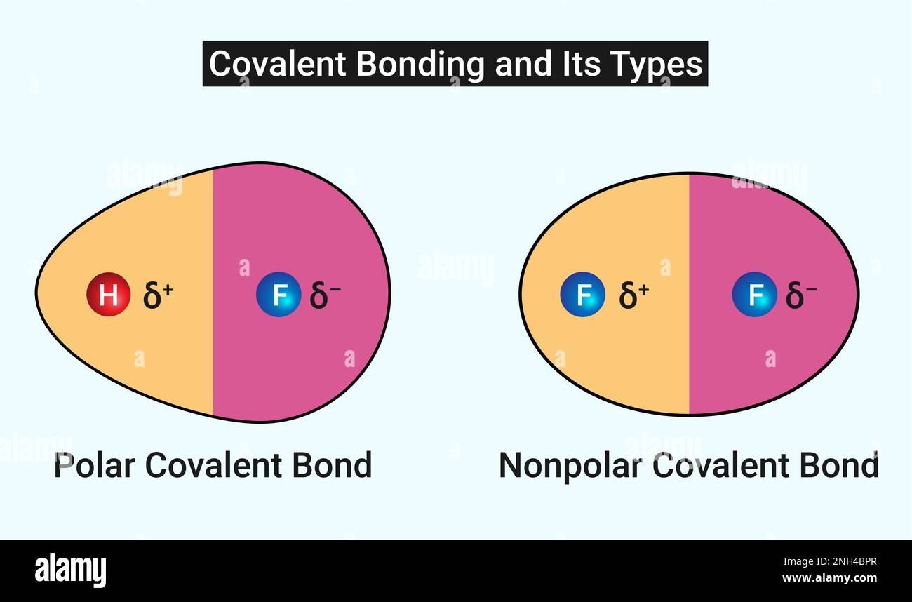 Covalent Bonding And Its Types Polar Covalent Bond And Nonpolar Covalent Bond Stock Vector 