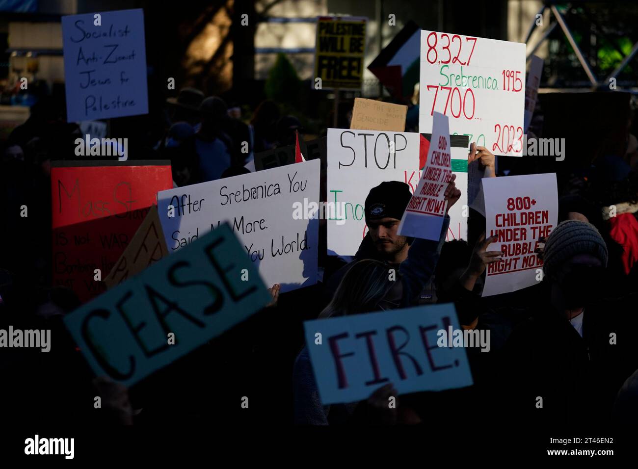 Demonstrators at a pro-Palestinian rally and march wave signs at ...