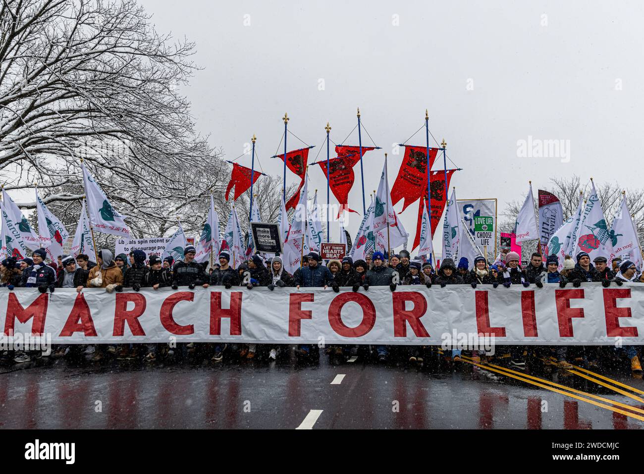 Washington, USA. 19th Jan, 2024. Demonstrators make their way towards