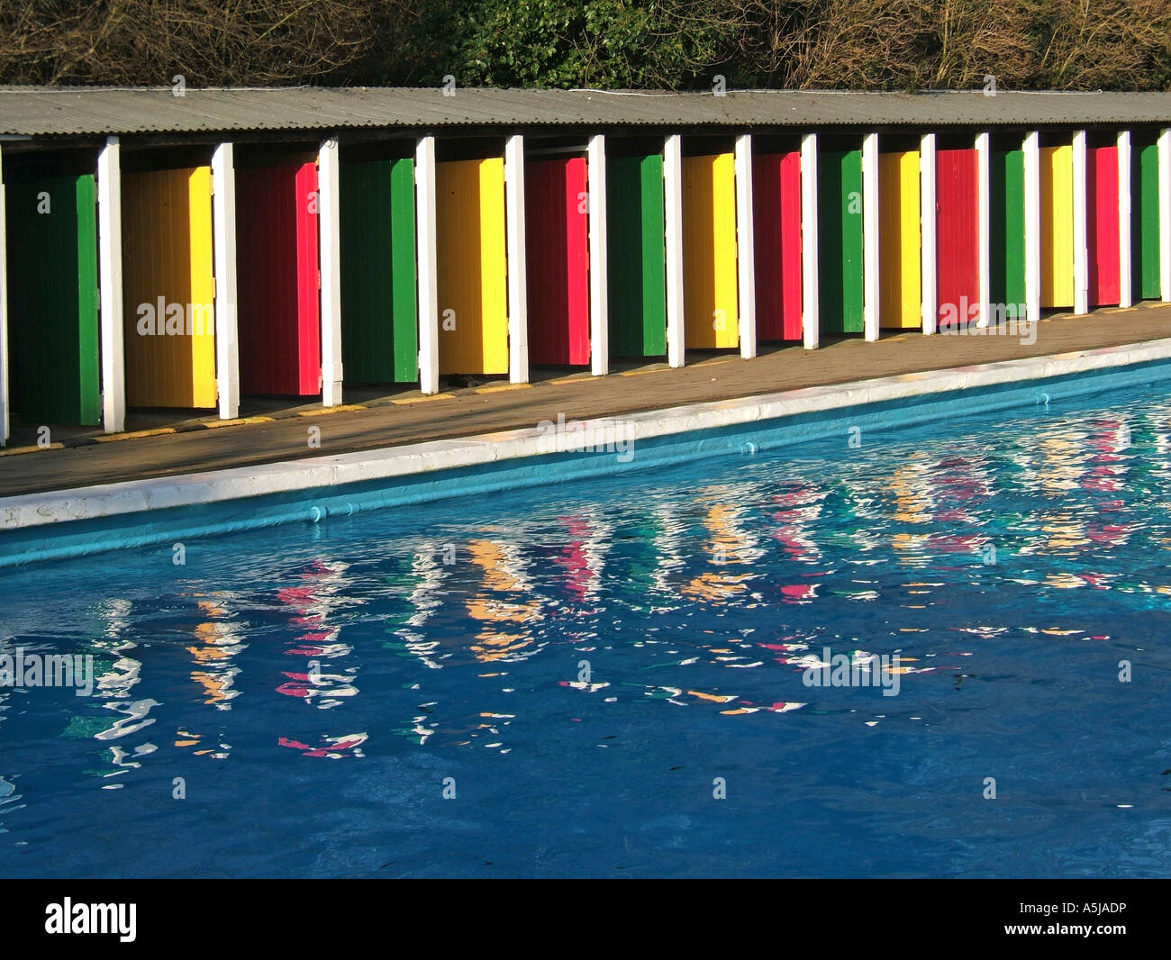 tooting bec lido book