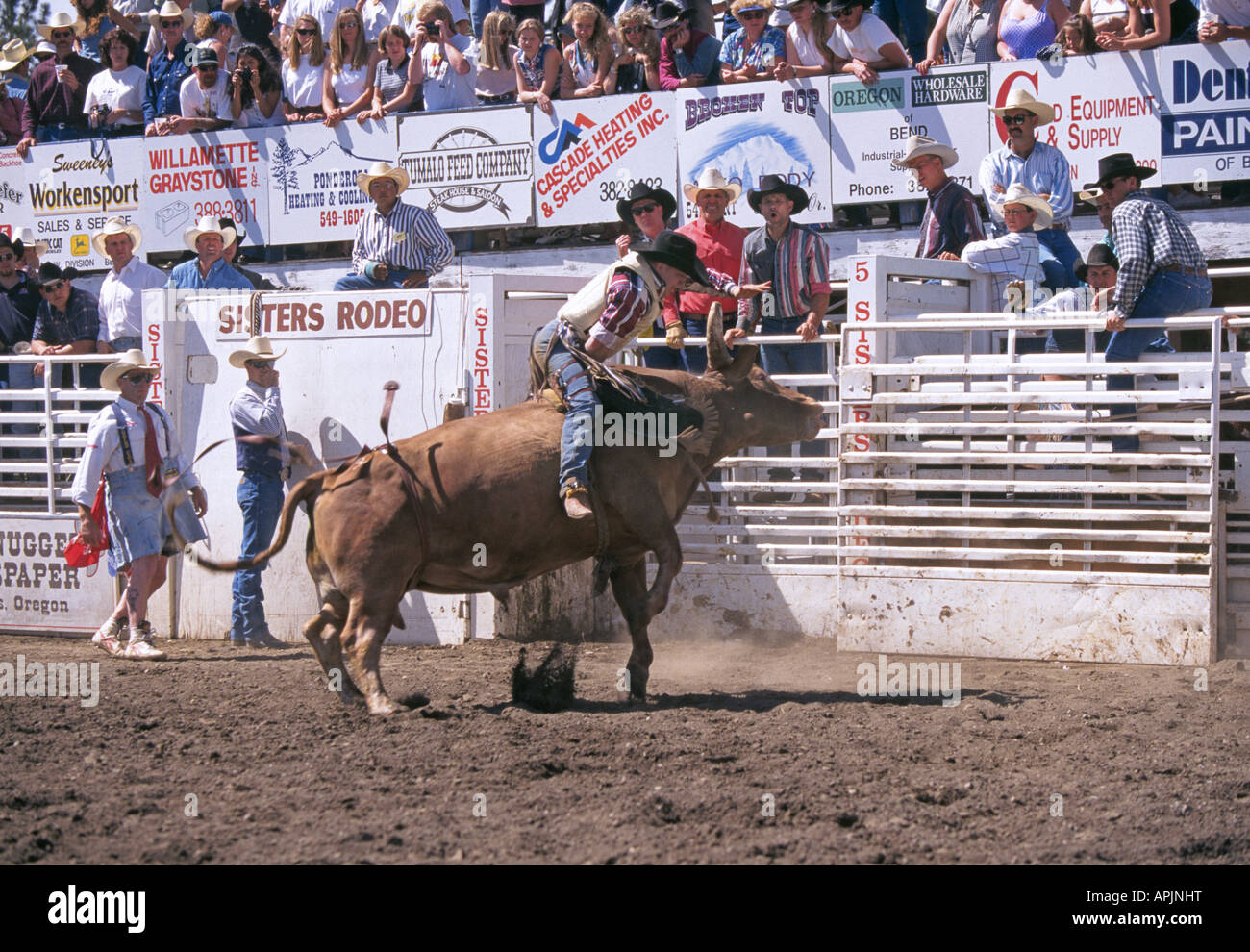 A rodeo cowboy rides a bull at the famous Sisters Rodeo in Sisters