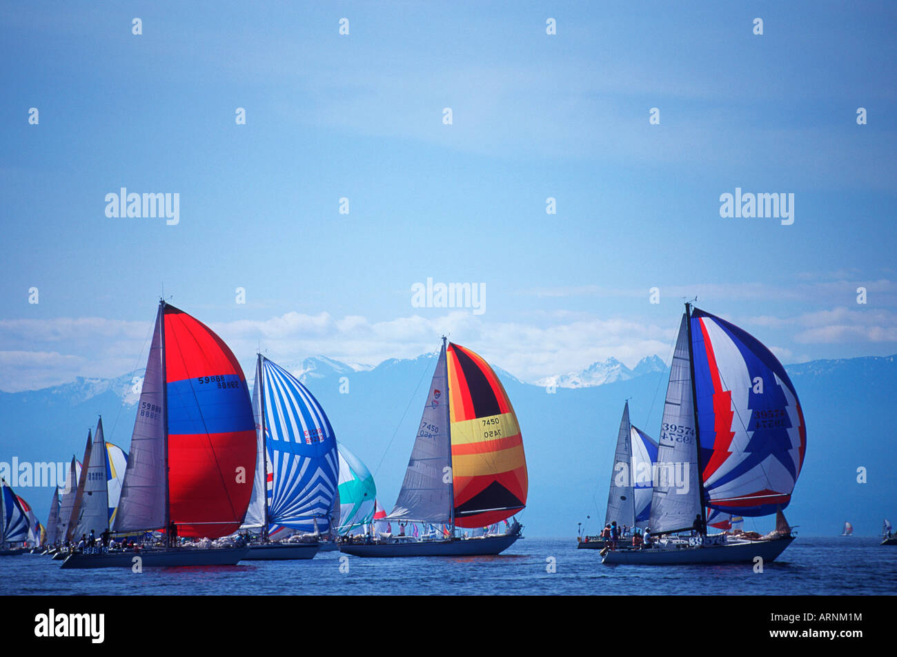 Swiftsure sailboat race, spinnaker start, Victoria, Vancouver Island