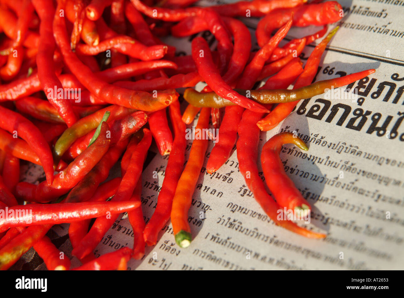 Chillies drying in the sun on Thai newspaper Thailand Stock Photo - Alamy