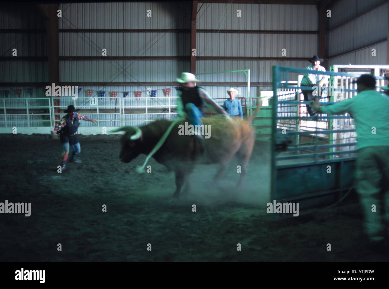 Rodeo bull riding, Kodiak Alaska Stock Photo - Alamy