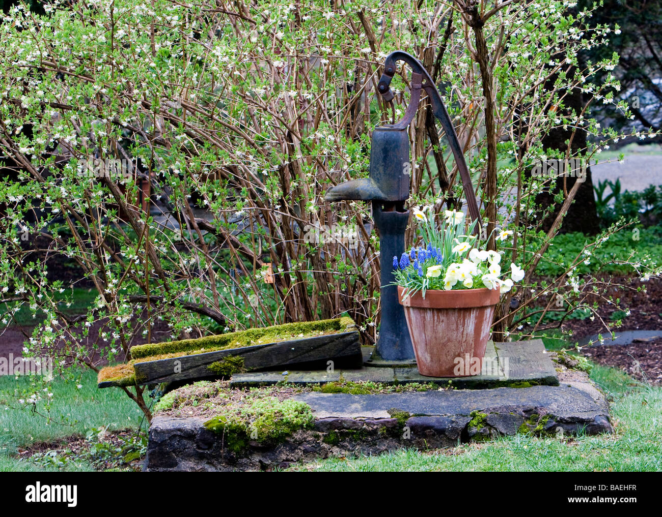 AN ANTIQUE GARDEN HAND PUMP Stock Photo Alamy