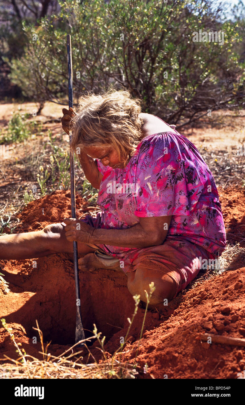 Senior Anangu woman digging for honey ants, South Australia Stock Photo ...