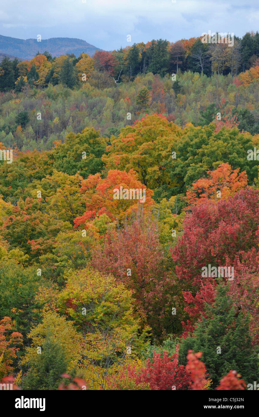 Fall foliage in Vermont near Waterbury Stock Photo Alamy