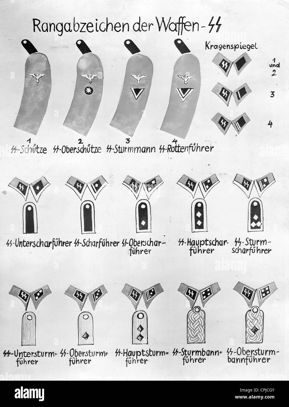 Insignia Of The Waffen Ss CPJCGY 