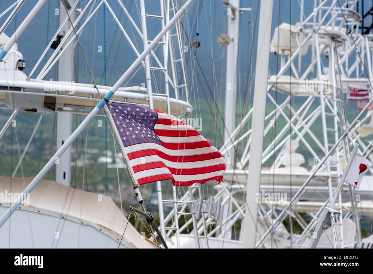 american yacht flag