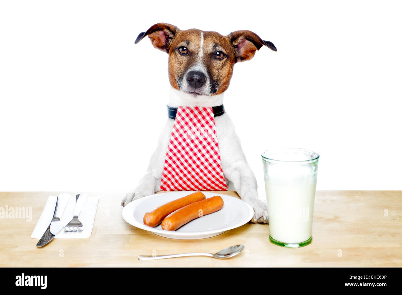 dinner-meal-at-table-dog-stock-photo-alamy