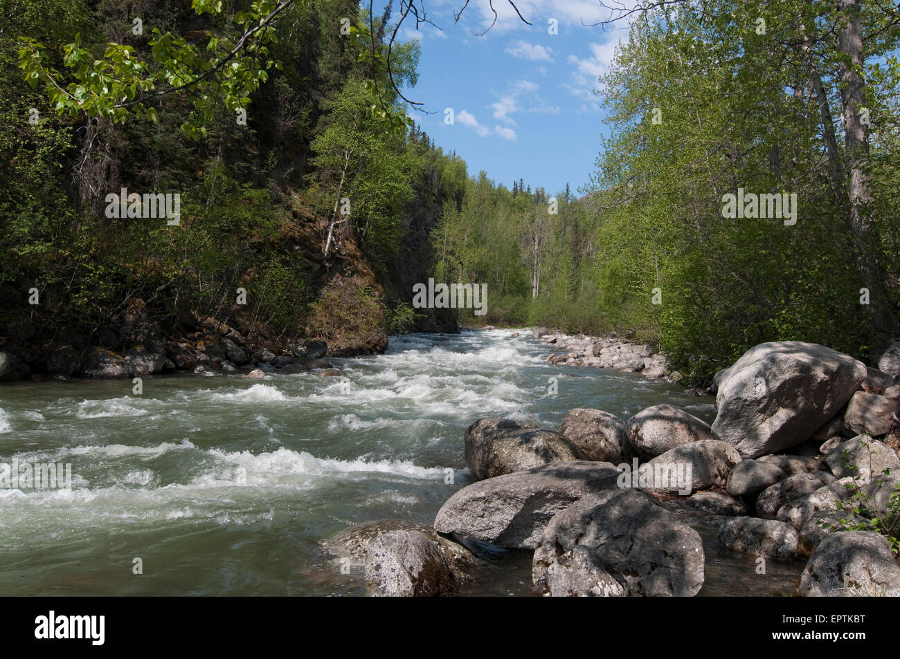 The Little Sustina River, Alaska Stock Photo - Alamy