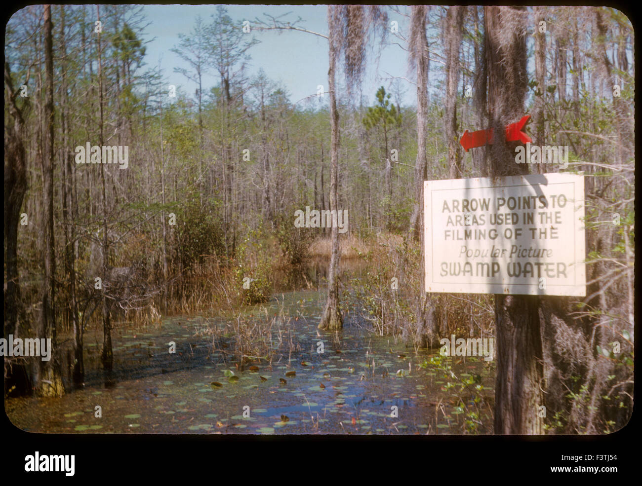 Image of Okefenokee Swamp, Waycross, Georgia where Jean Renoir filmed