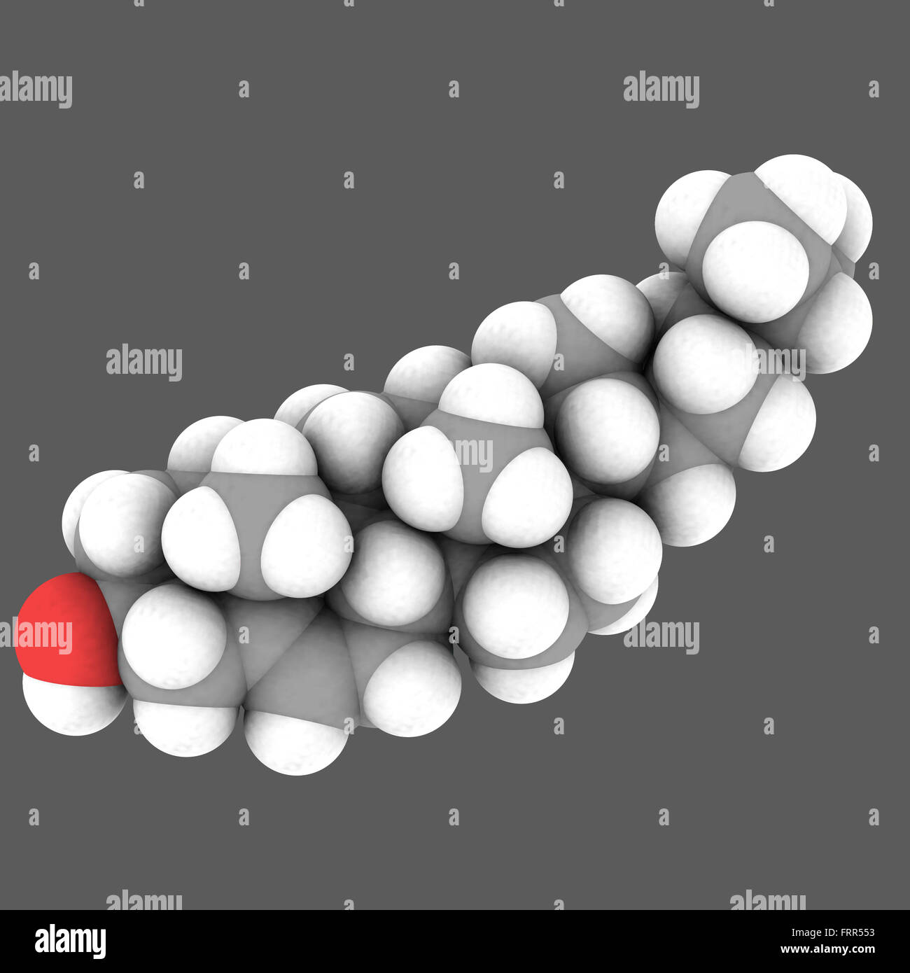 Molecular Structure Of Cholesterol On White In Space Fill View Stock 4097