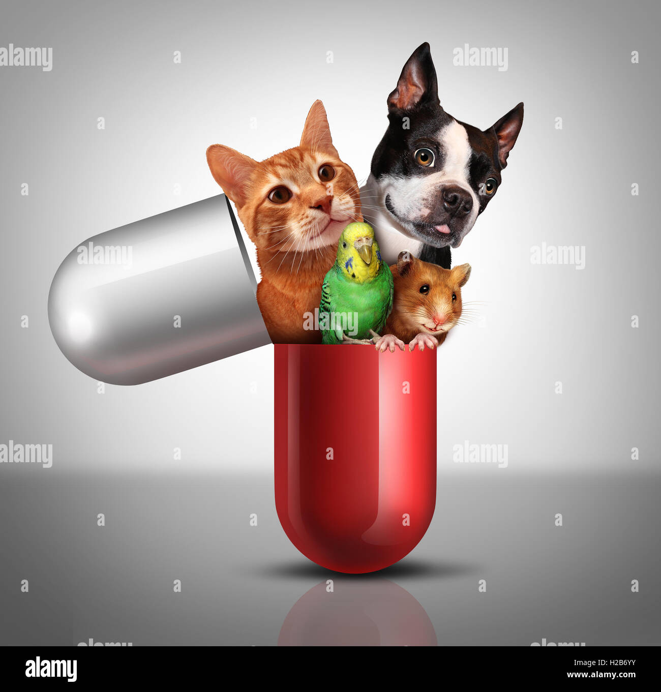 Pet medicine and animal prescription drugs as veterinary pharmaceutical