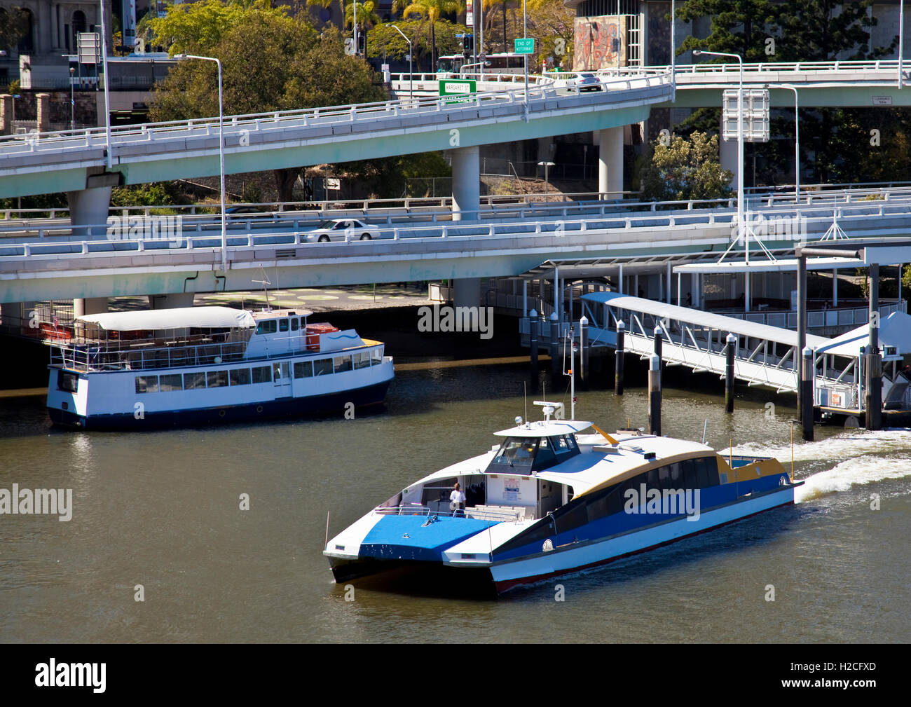 catamaran brisbane river