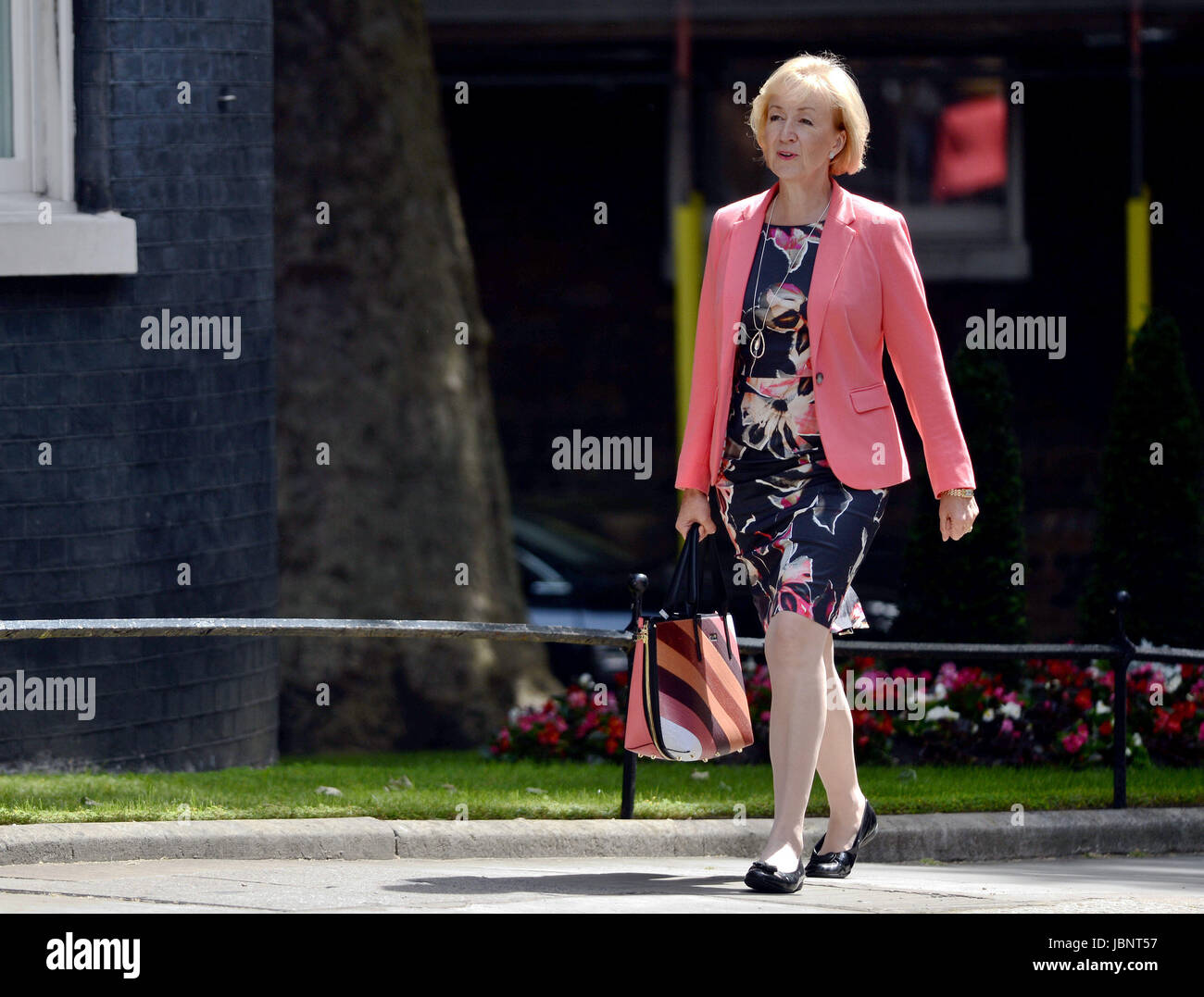 Leader Of The Commons Andrea Leadsom Arrives In Downing Street London As Theresa May Is Facing 
