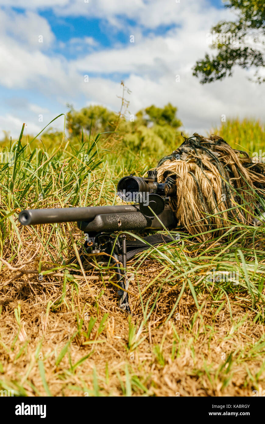 Police Swat Sniper In A Ghillie Suit Looking Through A Rifle Scope Surrounded By Dense