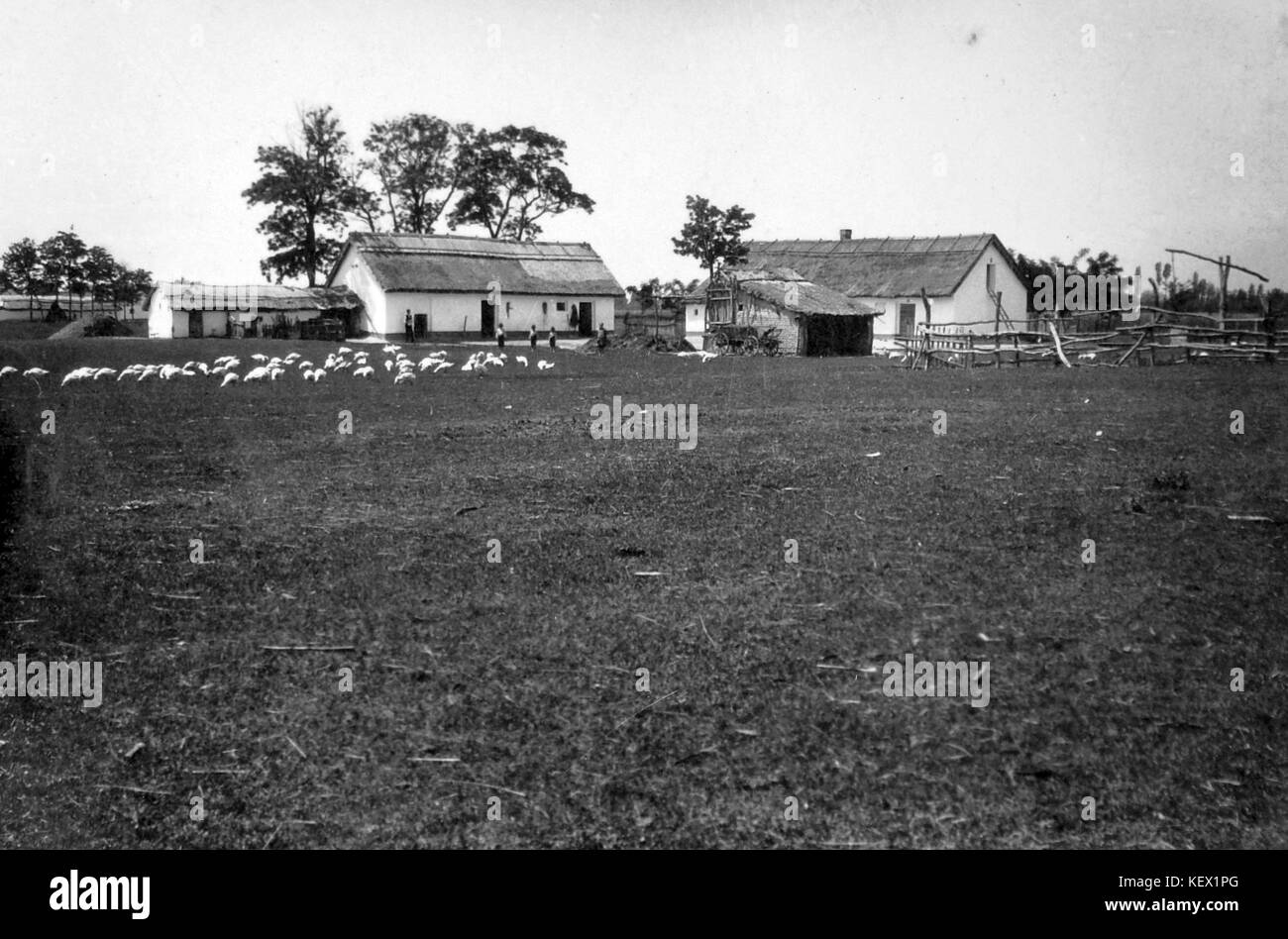 1930 Fortepan 8263 Stock Photo - Alamy