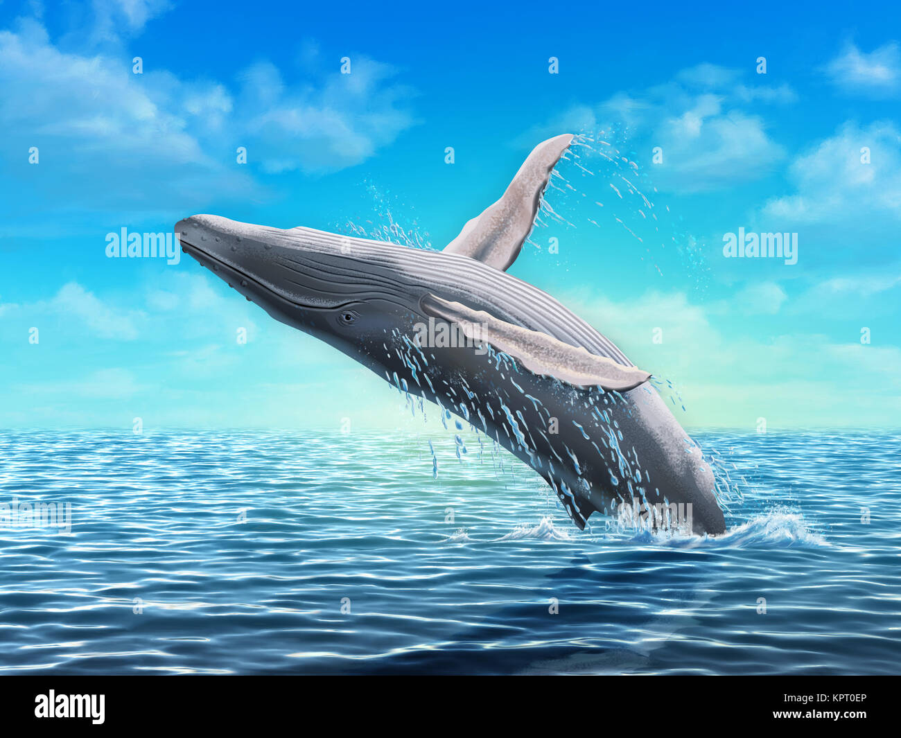 Humpback whale jumping out of water. Digital illustration Stock Photo