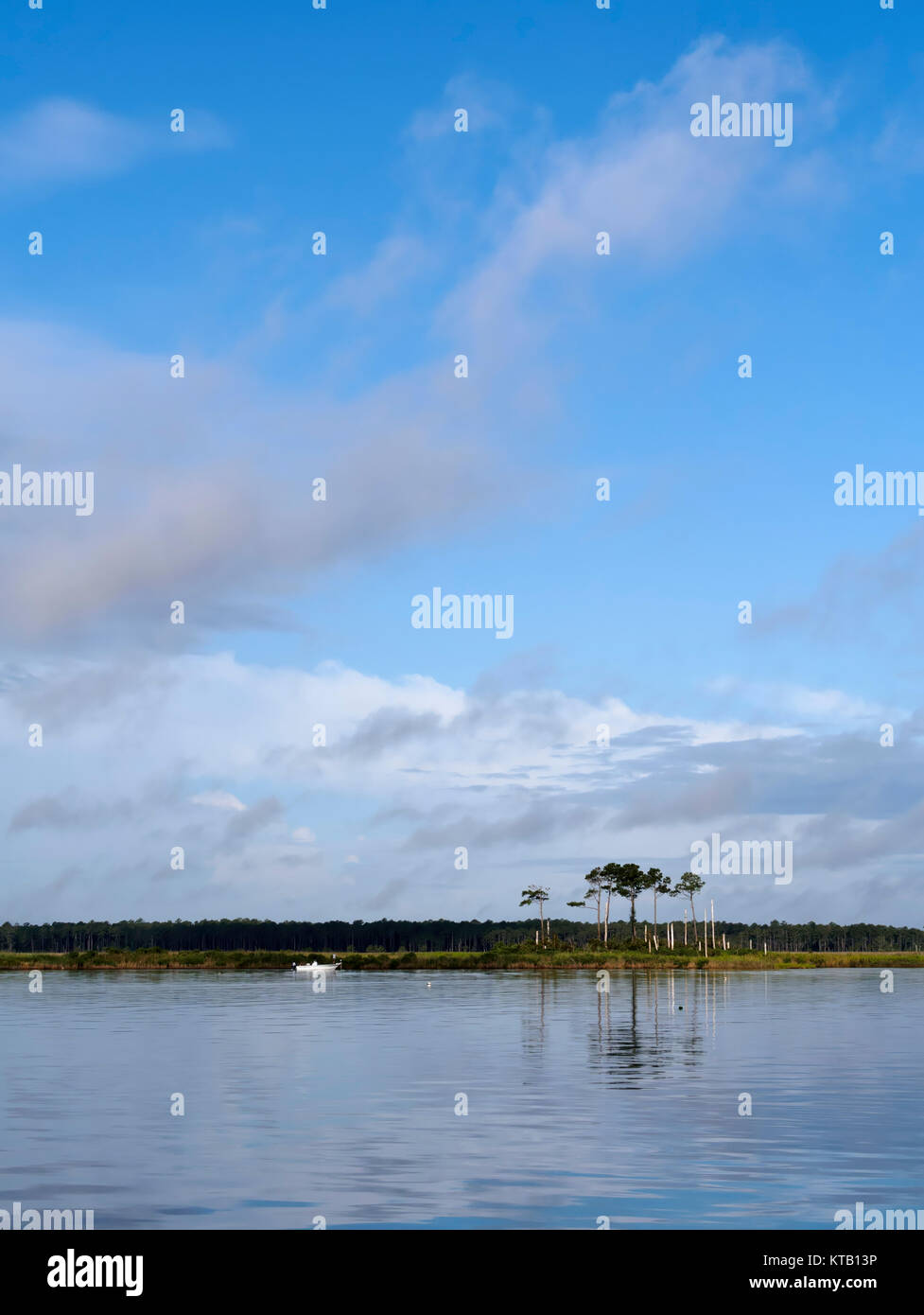 Alligator River, North Carolina Stock Photo Alamy