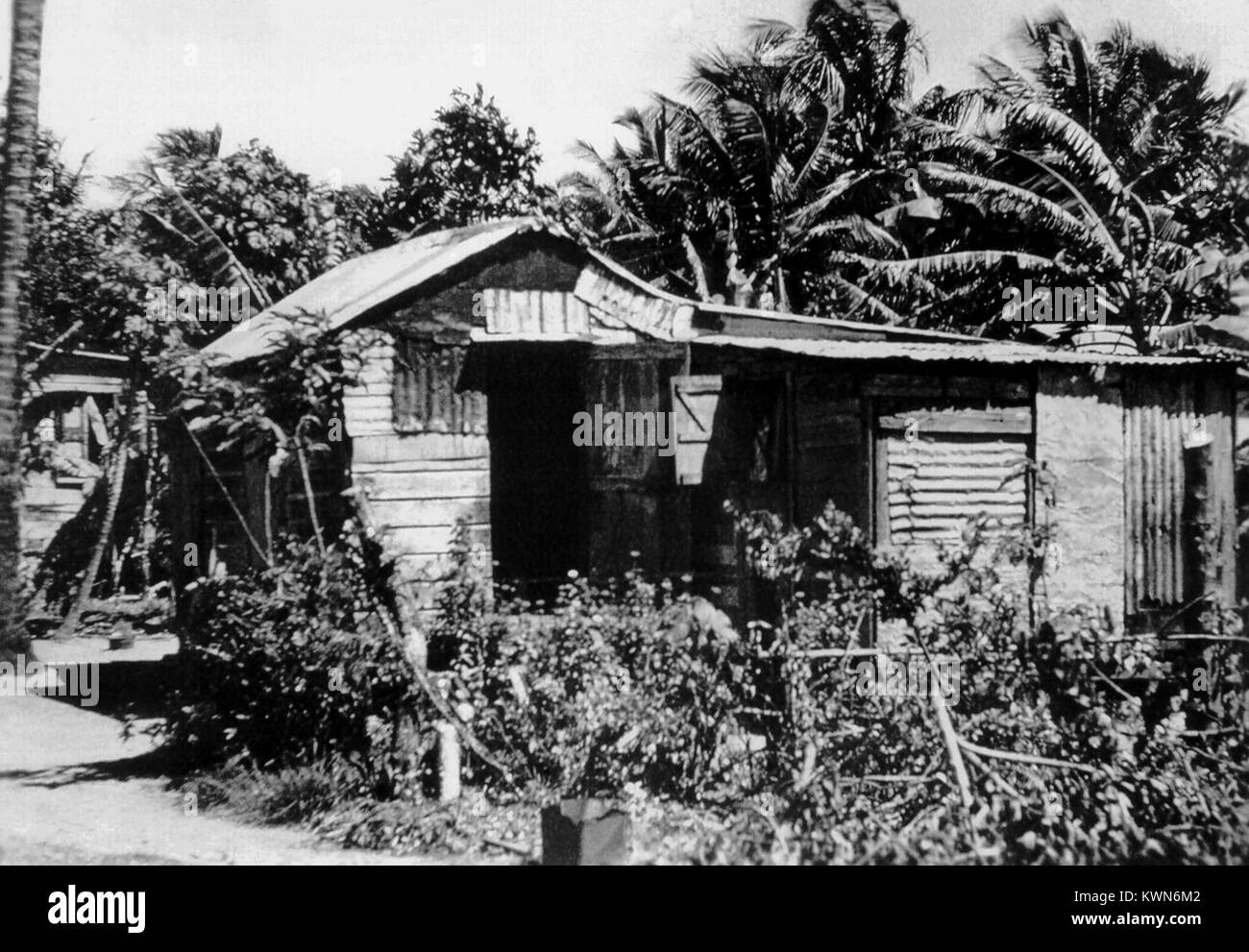 This photograph depicts a typical native hut in Puerto Rico, one of the ...