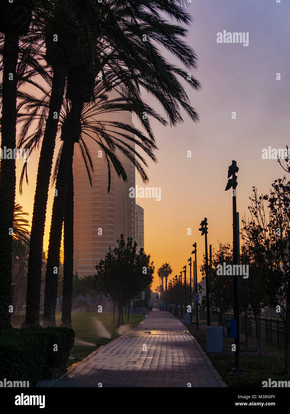 The Promenade At Dawn San Diego California Stock Photo Alamy