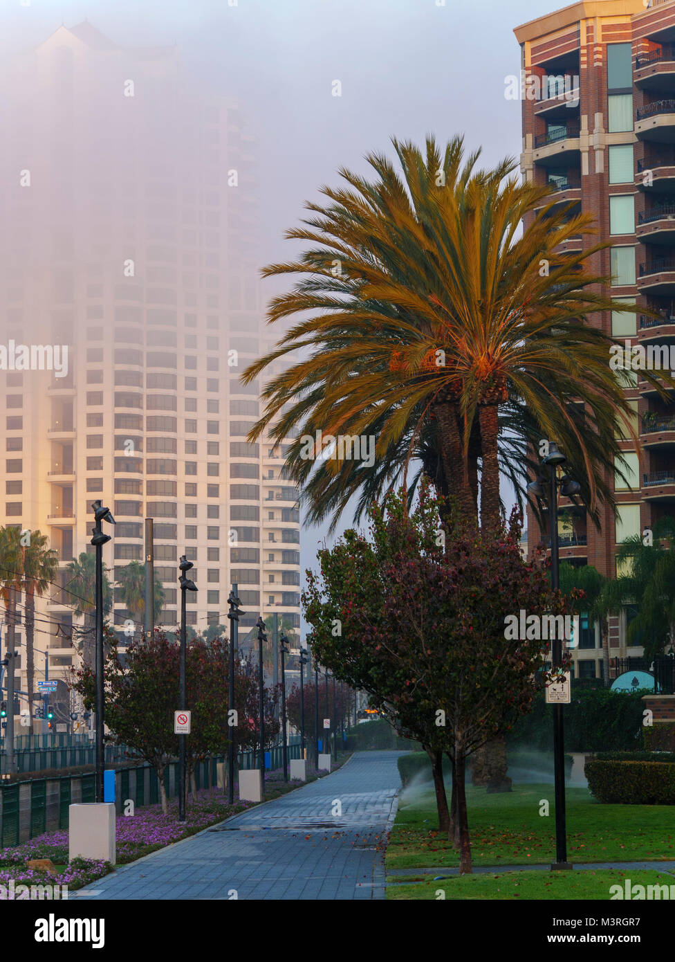 The Promenade At Dawn San Diego California Stock Photo Alamy