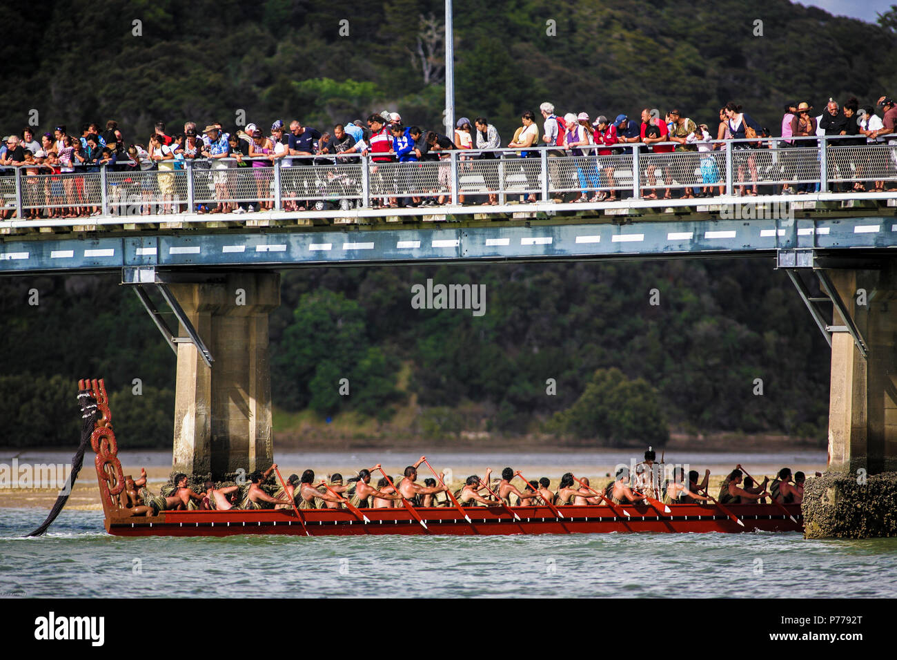 Maori Warriors Paddle Waka Taua War Canoes In Waitangi Day Celebrations In Waitangi New 4123