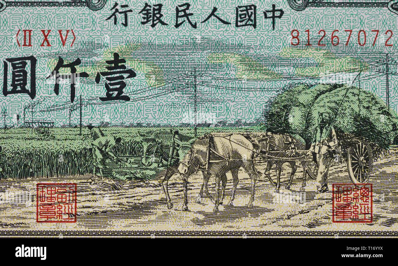 1000 rmb usd